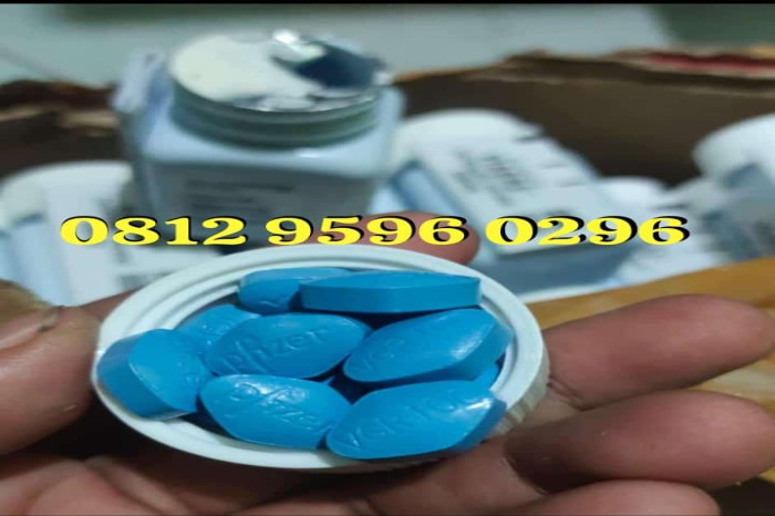 TOKO JUAL VIAGRA ASLI DI SAMARINDA 081295960296 COD OBAT KUAT PIL BIRU