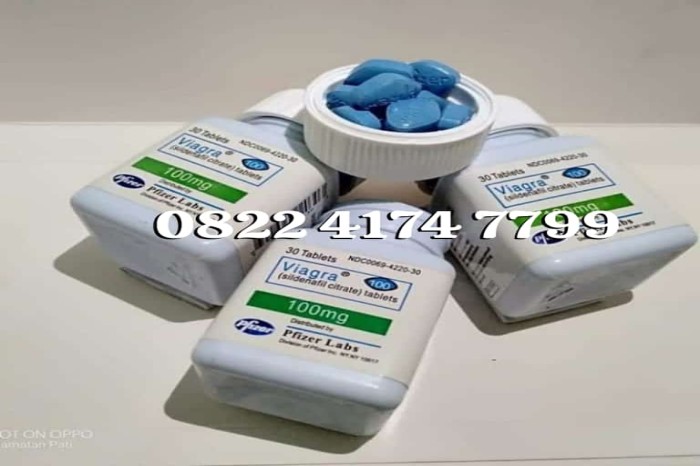 VIAGRA 100MG ASLI USA DI GIANYAR 082241747799 COD OBAT KUAT VIAGRA